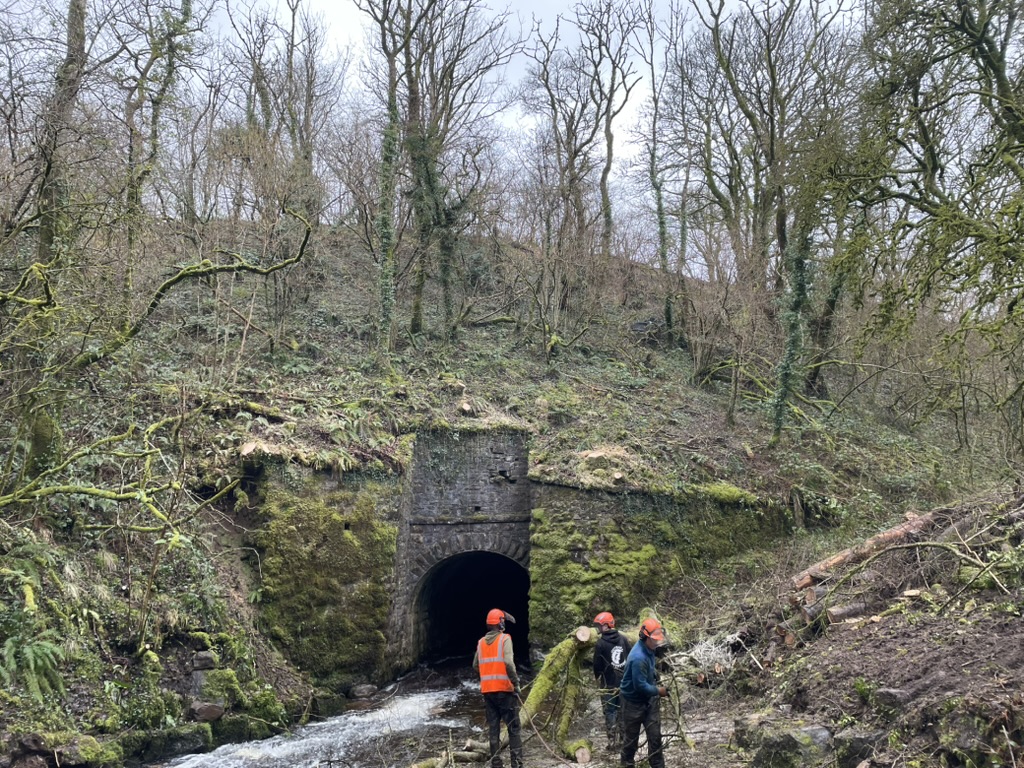 Environmental team working near a tunnel entrance