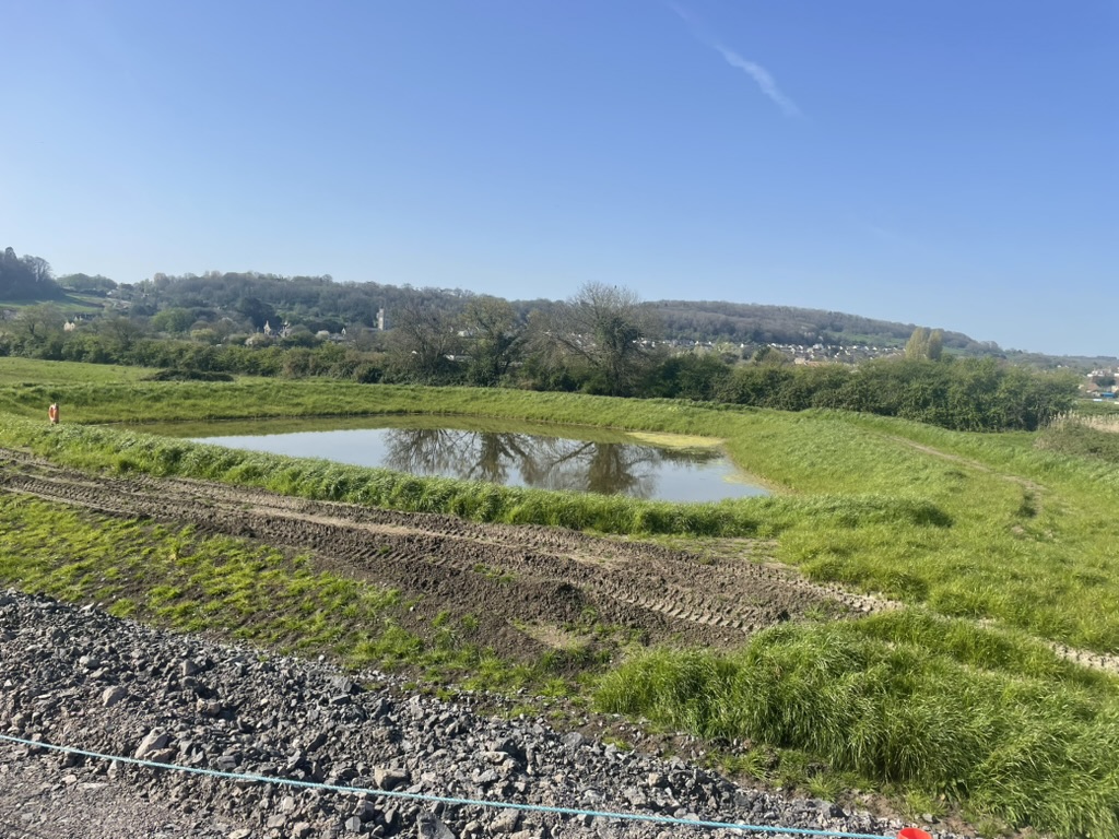 Wetland habitat beside infrastructure works